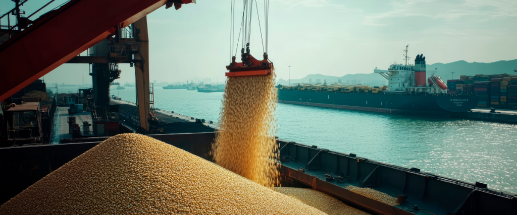 Produto de exportação para a China